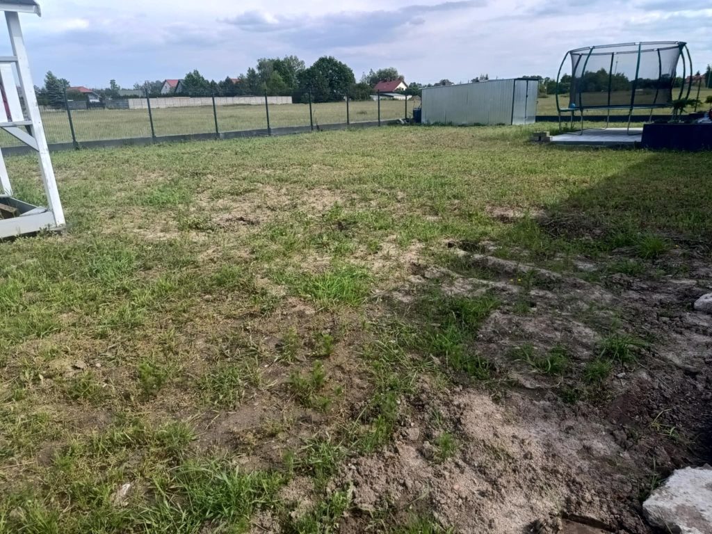 502709897-122112797888862395-6315399106988582511-n